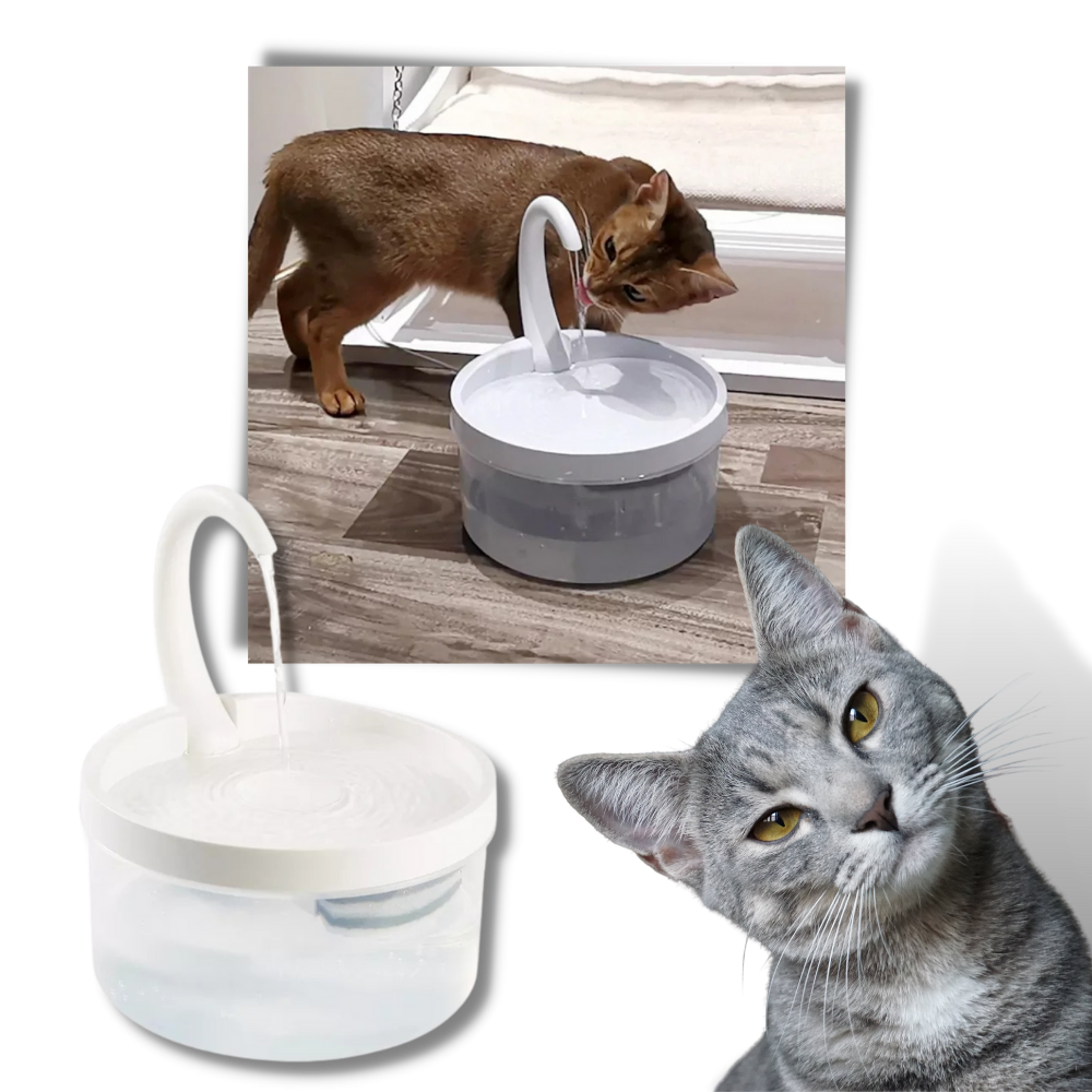 Fonte de água automática para gatos Urbest com luz LED, com design moderno e recipiente para água fresca.