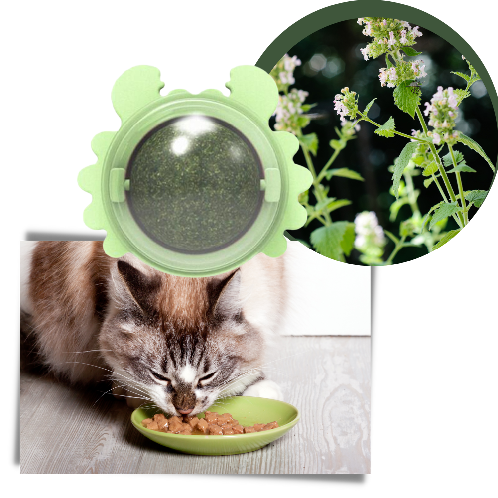 Bola de menthe rotativa para gatos da marca Linfan, acessório divertido com aroma de gato e design colorido.
