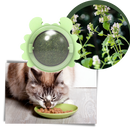 Bola de menthe rotativa para gatos da marca Linfan, acessório divertido com aroma de gato e design colorido.