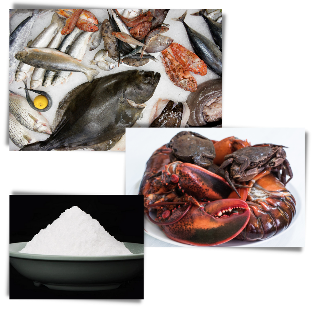 Amostra do isca para peixes Qiguang, atraente para diversas espécies, com embalagem exibida em fundo branco.