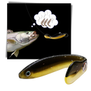 Conjunto de iscas artificiais para pesca da marca Jinyi, com diversos modelos para atrair peixes em atividades de pesca.