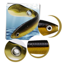 Conjunto de iscas artificiais para pesca Jinyi com diferentes cores e tamanhos, ideal para pesca esportiva e recreativa.