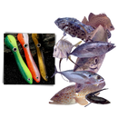 Conjunto de iscas artificiais para pesca da marca Jinyi, várias cores e tamanhos, ideal para pesca esportiva.