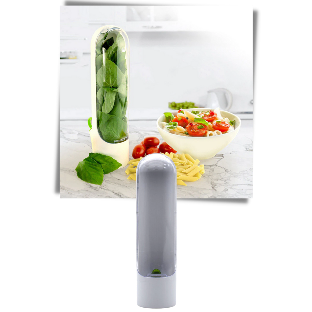 Recipiente de armazenamento de ervas frescas Teccrui para organizar e conservar vegetais de forma prática e eficiente.