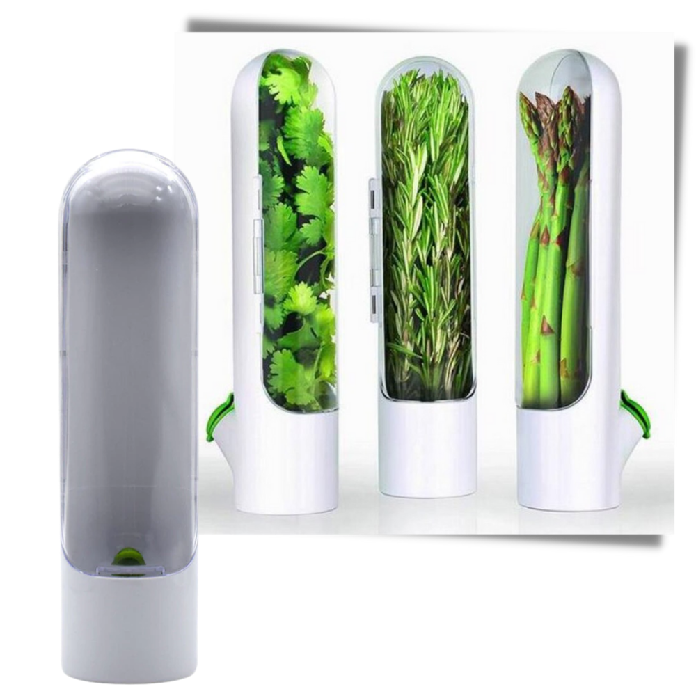 Recipiente de conservação de ervas frescas Teccrui, prático para armazenamento e organização de temperos na cozinha.
