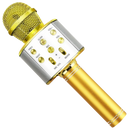 Microfone karaoké Bluetooth sem fio Aetomce dourado, componente de áudio para diversão e performances musicais.