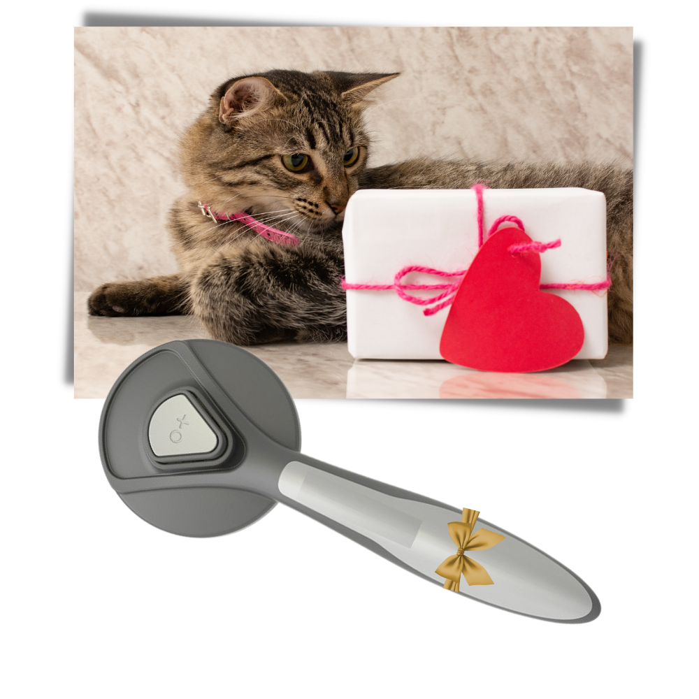 Escova especial para animais de estimação Udiyo, ferramenta de toilettage com cerdas para desembaraçar pelos de pets.