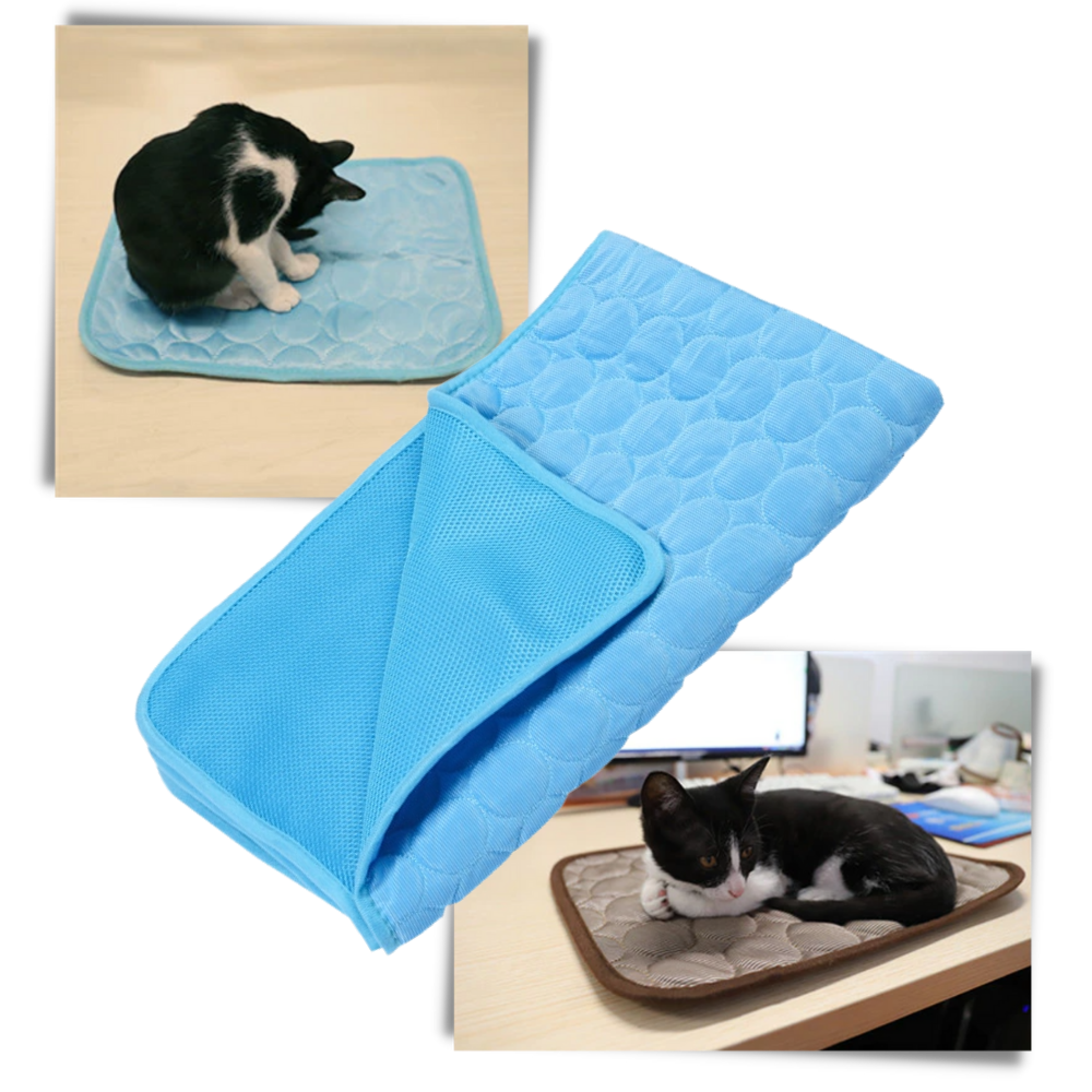 Tapete refrigerante portátil Zehui para animais de estimação, almofada de resfriamento para conforto e bem-estar dos pets