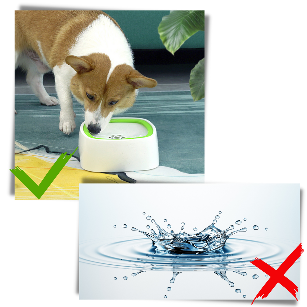 Bol d'eau flutuante para animais da Pet Feeder Bowl, com design que evita respingos de água.