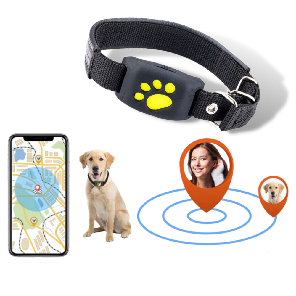 Collier de repérage GPS para animais de estimação da Aetomce, com dispositivo de rastreamento visível no colar.