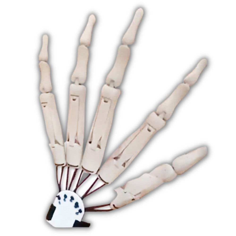 Luvas de esqueleto brancas da Universal, acessório de fantasia para mãos com detalhes de osso.