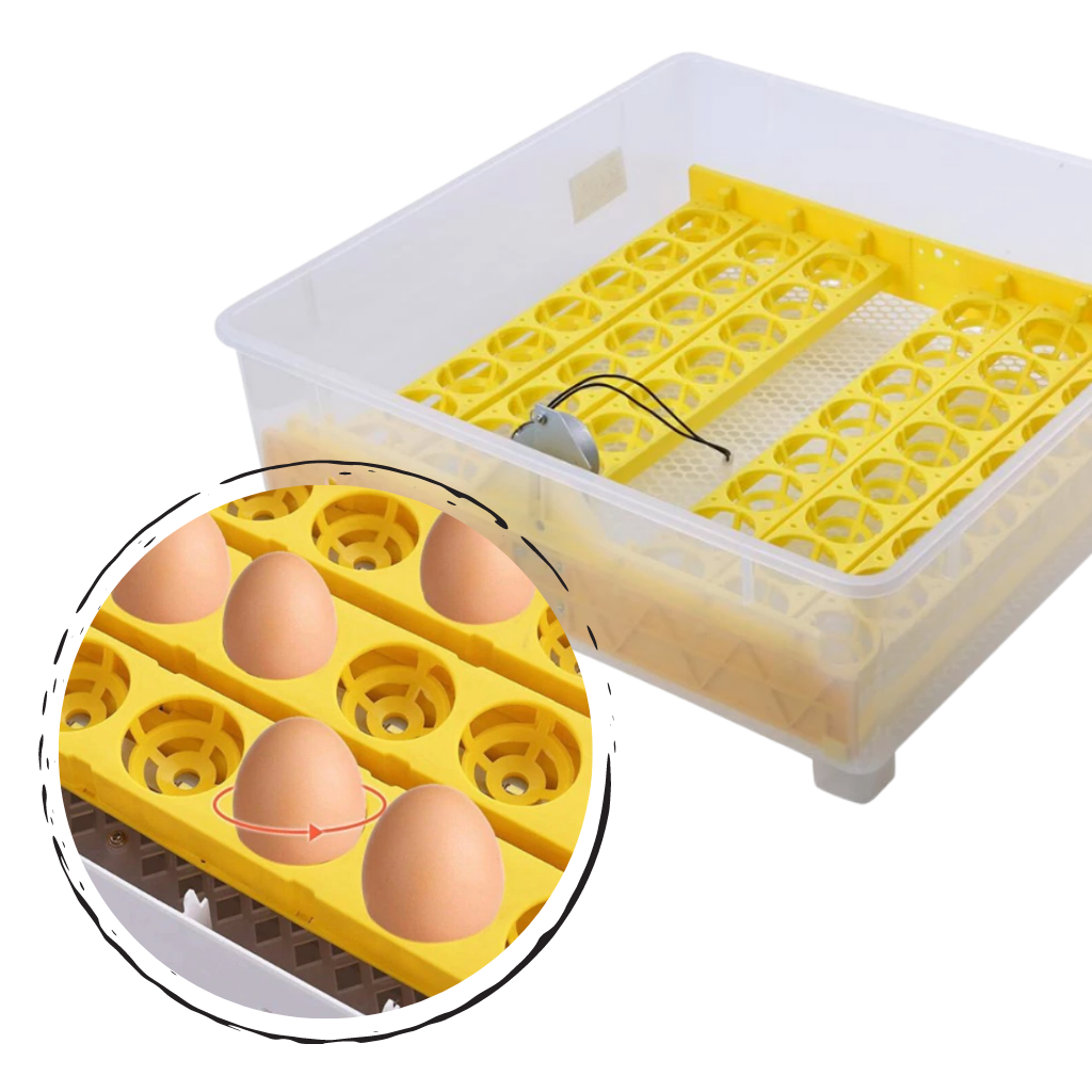Incubador automático de ovos Yescomusa para 48 ovos, com sistema de viragem automática para criação de aves.