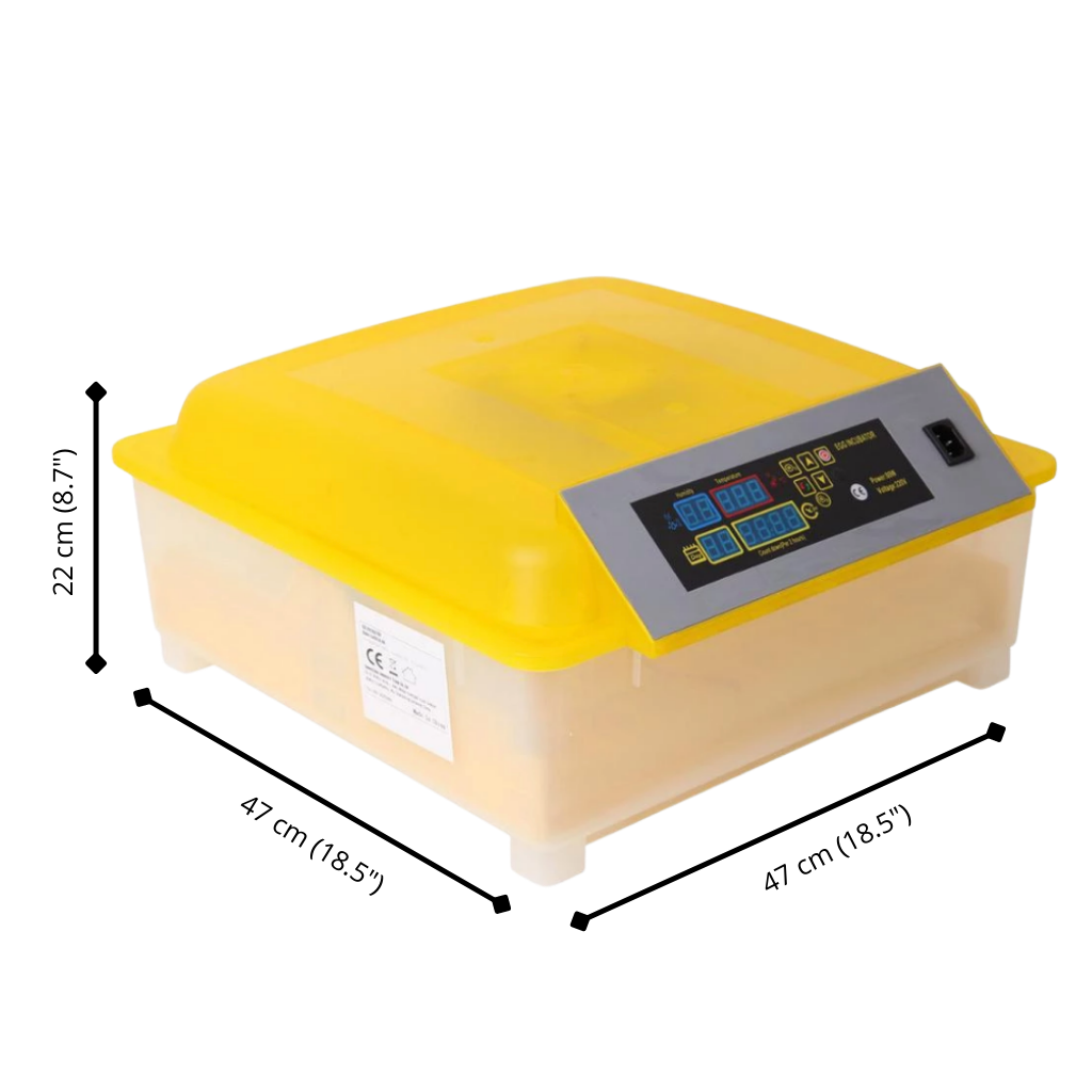 Incubadora automática de ovos Yescomusa para 48 ovos, equipamento de criação com dimensões visíveis na imagem.