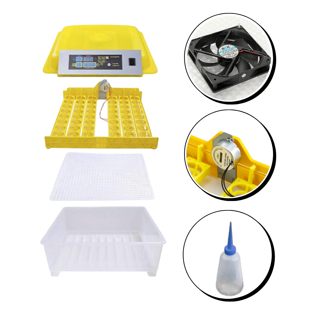 Incubador automático de ovos Yescomusa para 48 ovos, feito de material durável, usado para incubação e criação de aves.