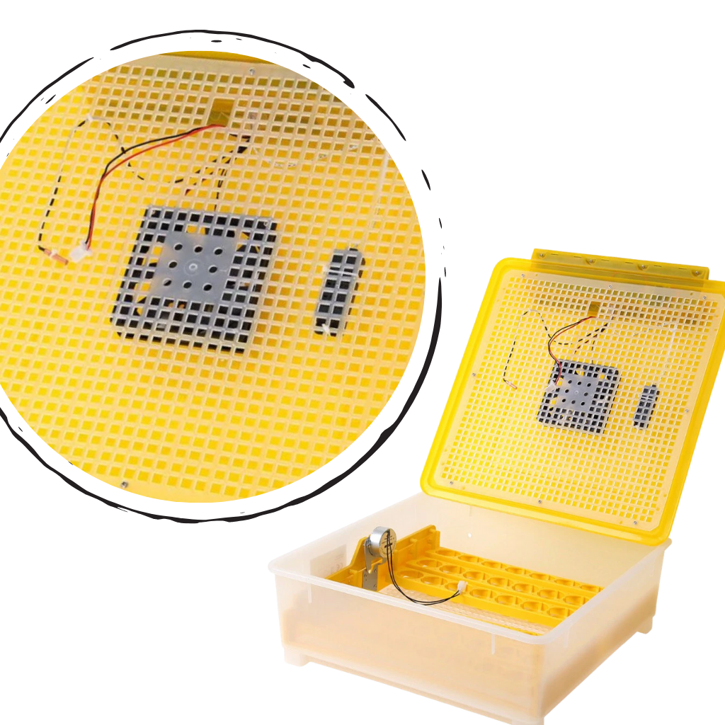 Incubador automático de ovos Yescomusa para 48 ovos, controle de temperatura e umidade, equipamento de incubação para aves