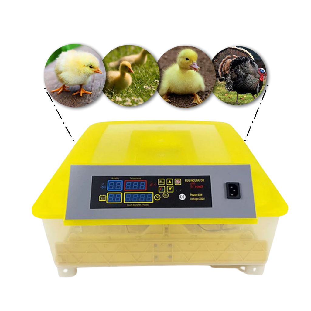 Incubador automático de ovos Yescomusa para 48 ovos, equipamento de criação de aves com controle de temperatura e umidade.