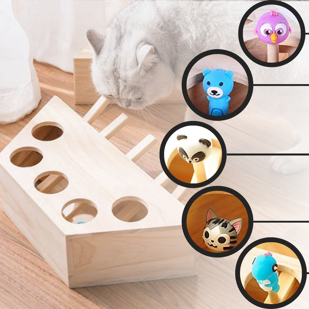 Brinquedo interativo de madeira com 5 buracos para gatos, com design em estilo de desenhos animados.