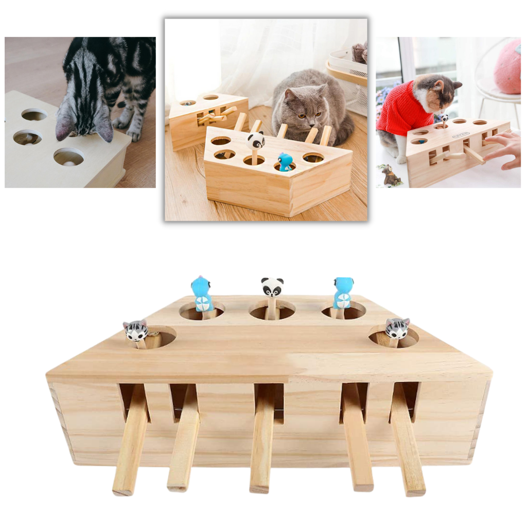 Brinquedo interativo de madeira com cinco buracos para gatos, acessório para estimular a diversão e o entretenimento felino.
