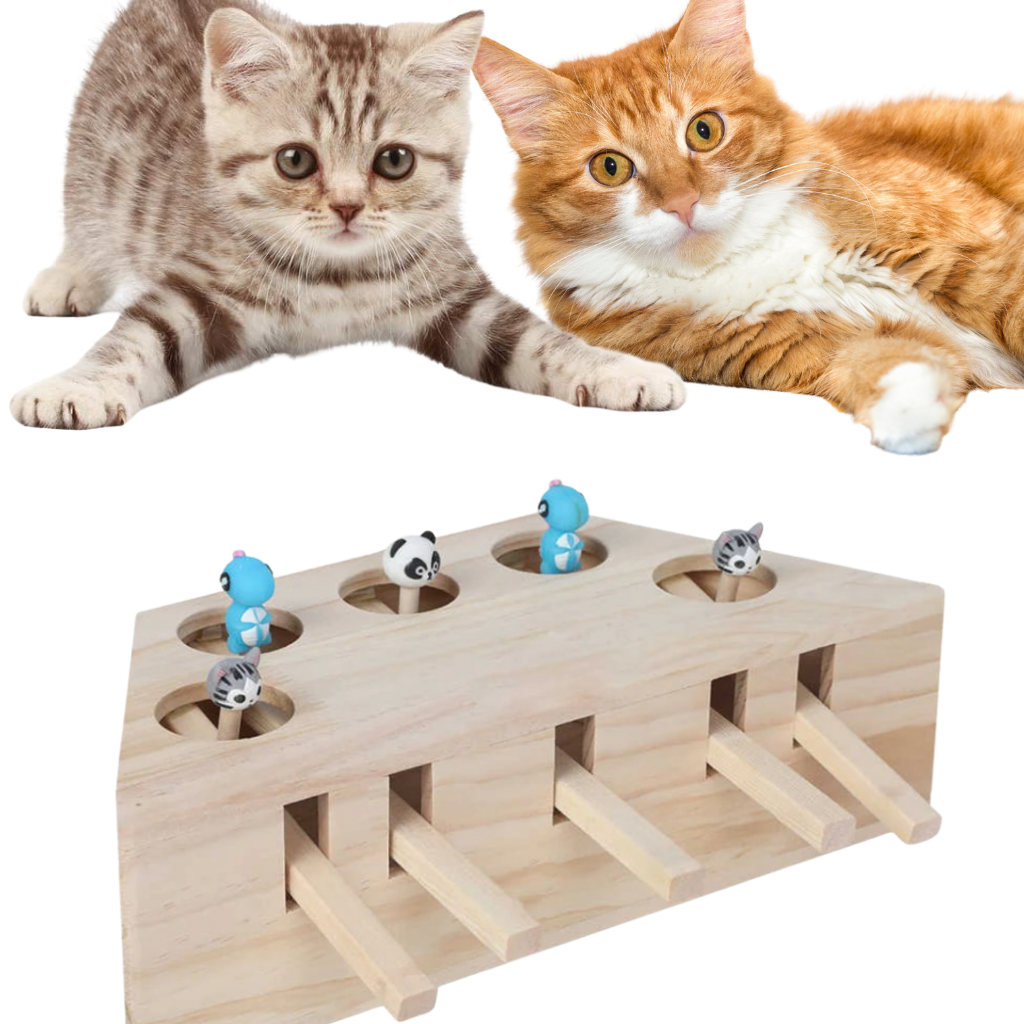 Brinquedo interativo de madeira com cinco buracos para gatos, acessório educativo para estimular e treinar o seu felino.