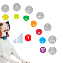 Coleira anti latido para cães da marca Masbrill, com ajuste de sensibilidade em 7 níveis e recarregável via USB.