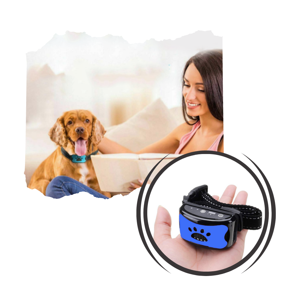 Coleira anti-abelhamento para cães da marca Masbrill, com 7 níveis de sensibilidade e recarregável por USB.