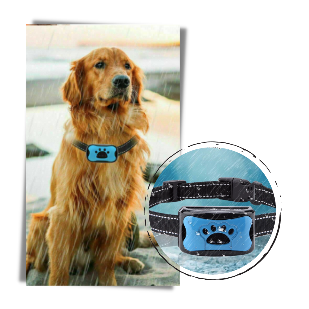 Coleira anti-latido para cães da marca Masbrill, com 7 níveis de sensibilidade, recarregável e resistente às condições climáticas.