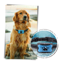 Coleira anti-latido para cães da marca Masbrill, com 7 níveis de sensibilidade, recarregável e resistente às condições climáticas.