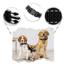 Coleira anti-abelhamento da Masbrill para cães, com 7 níveis de sensibilidade, recarregável por USB, adequada para diferentes tamanhos