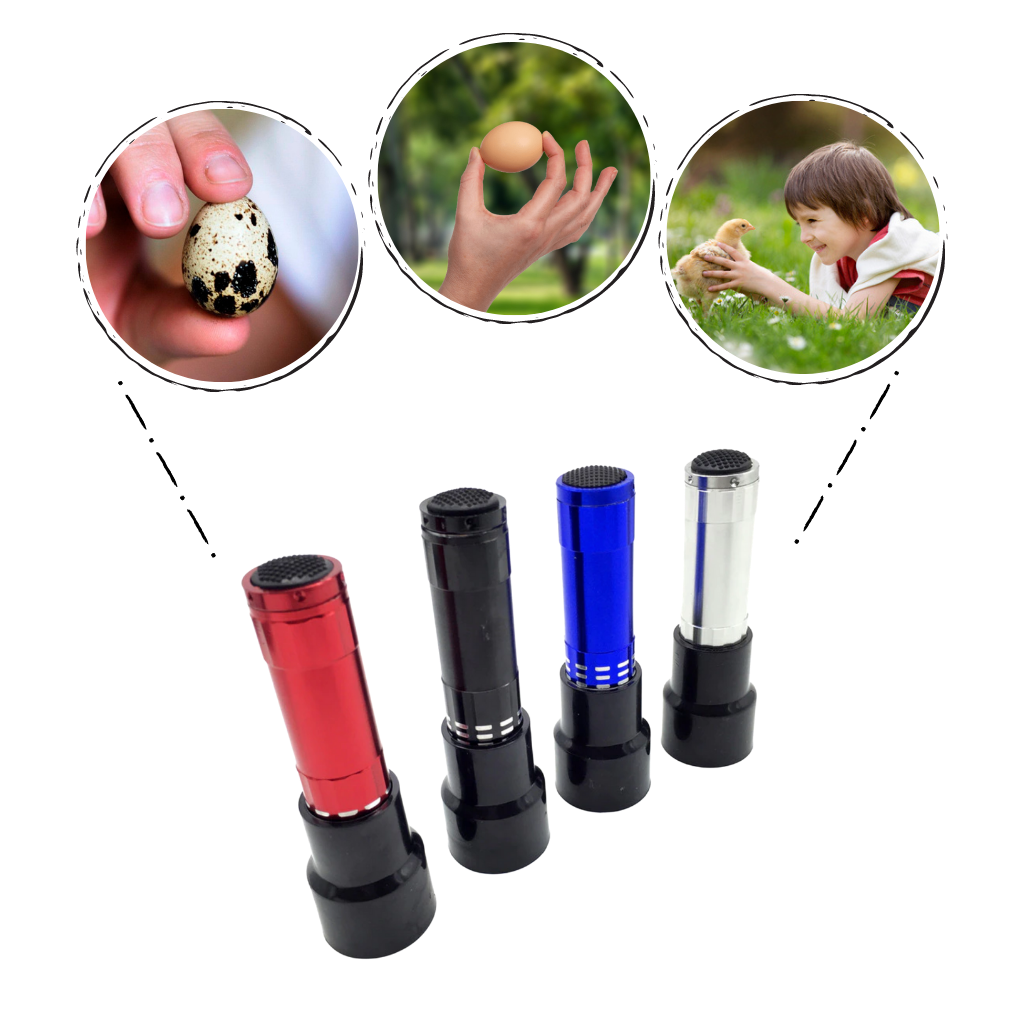 Lâmpada de candling de ovos Gazechimp com 9 LEDs, usada para inspeção de ovos durante o processo de criação.