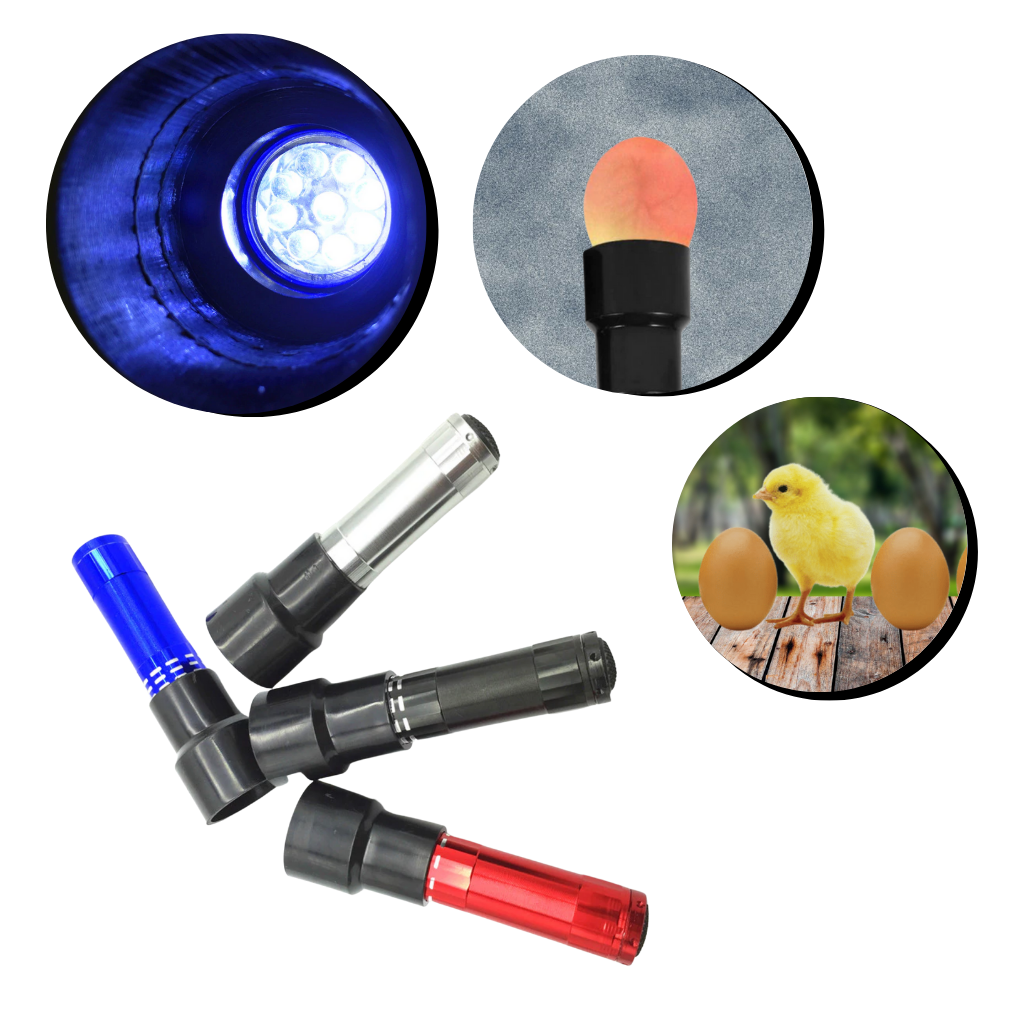Lâmpada de candling de ovos Gazechimp, luz LED de 9 LEDs para inspeção de ovos durante o desenvolvimento.