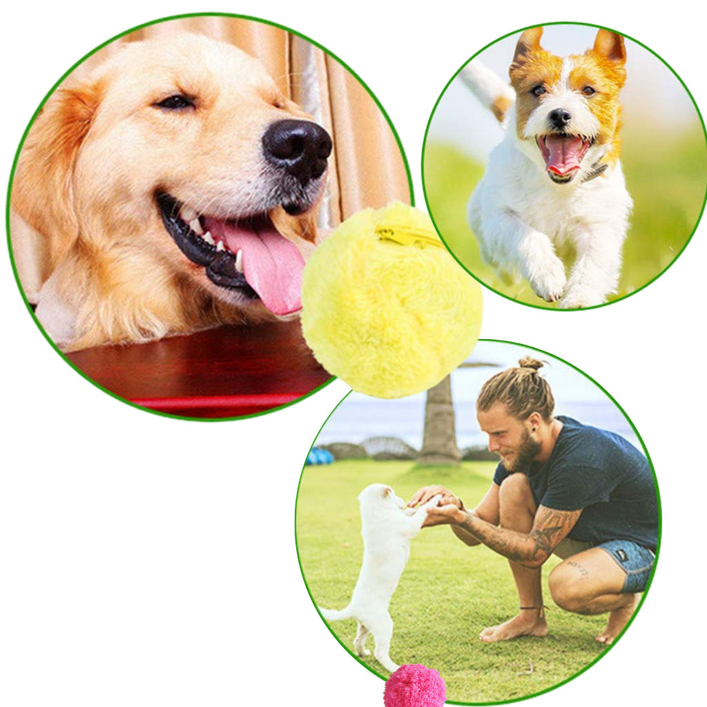 Bola rotativa automática para cães da Eastjing com 4 capas trocáveis, acessório interativo para estimular e divertir cães.