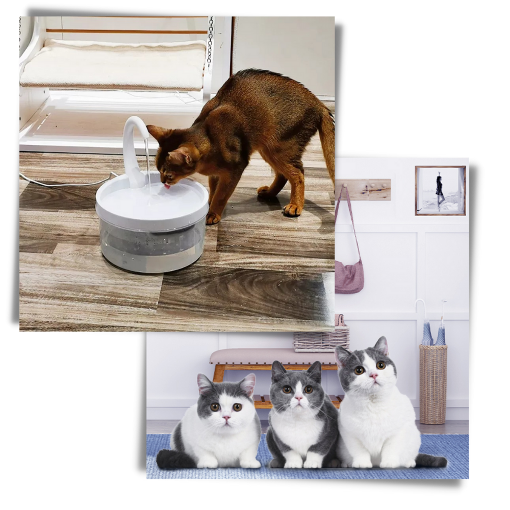 Fontes de água automáticas para gatos Urbest com luz LED, com capacidade para manter seu gato hidratado e atrativo.