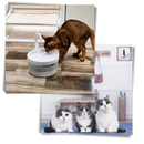 Fontes de água automáticas para gatos Urbest com luz LED, com capacidade para manter seu gato hidratado e atrativo.