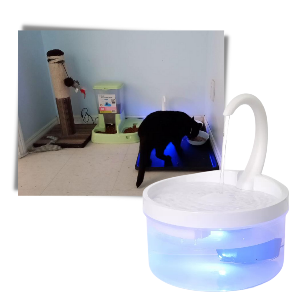 Fonte de água automática para gatos Urbest com luz LED, recipiente para água para manter gatos hidratados e estimulados.