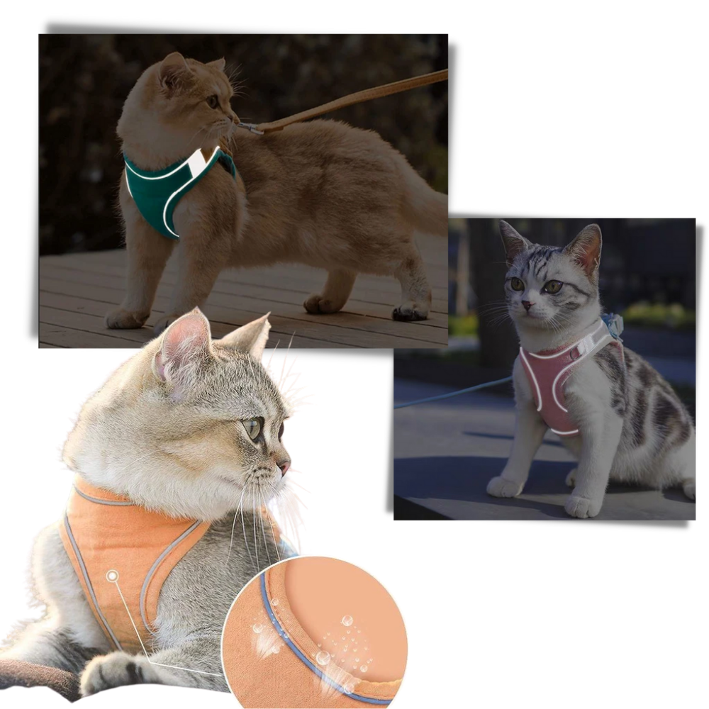Colete reflexivo para gato e cão com guia para animais de estimação, de marca Topumt, visível na imagem.