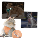 Colete reflexivo para gato e cão com guia para animais de estimação, de marca Topumt, visível na imagem.