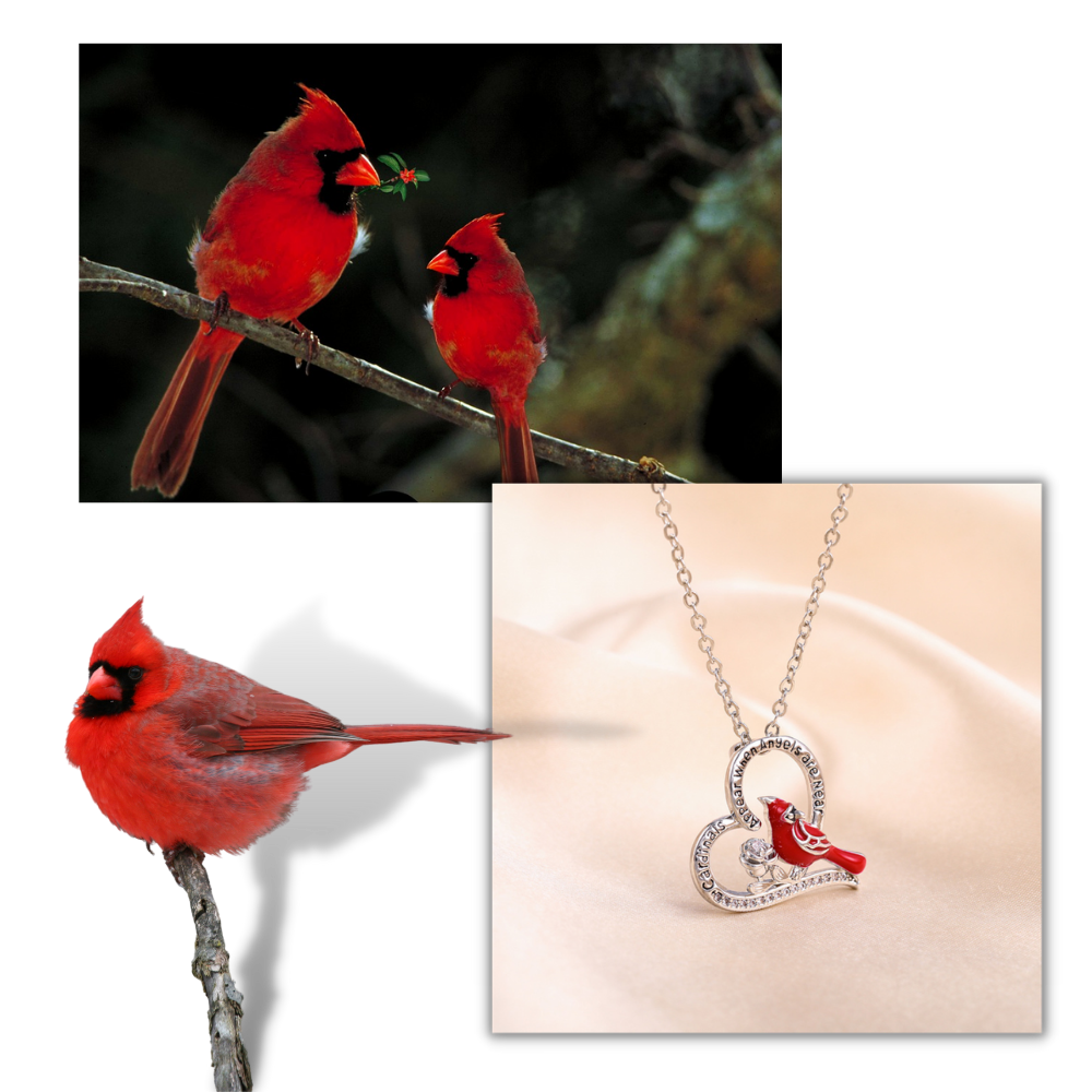 Colar Ottwn com pingente de cardeal em forma de coração, joia delicada e elegante em design de colar com pendente de ave.