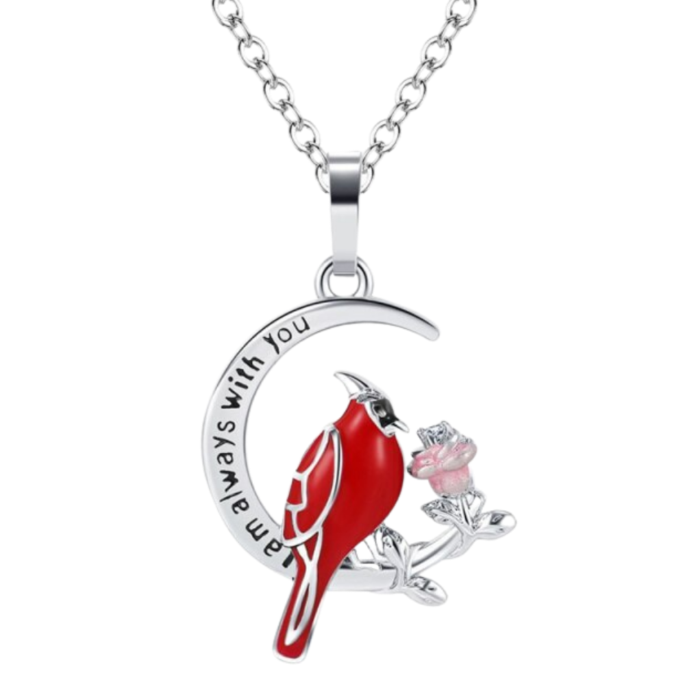 Colar com pingente de cardeal em forma de coração rosa, feito pela marca Ottwn, destaque em joalheria delicada para mulheres.