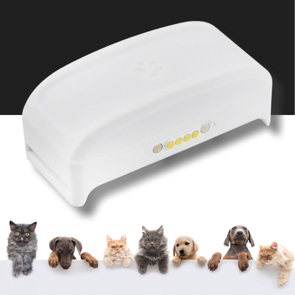 Colar de GPS para animais de estimação da Anysun, com dispositivo de geolocalização para cães e gatos.