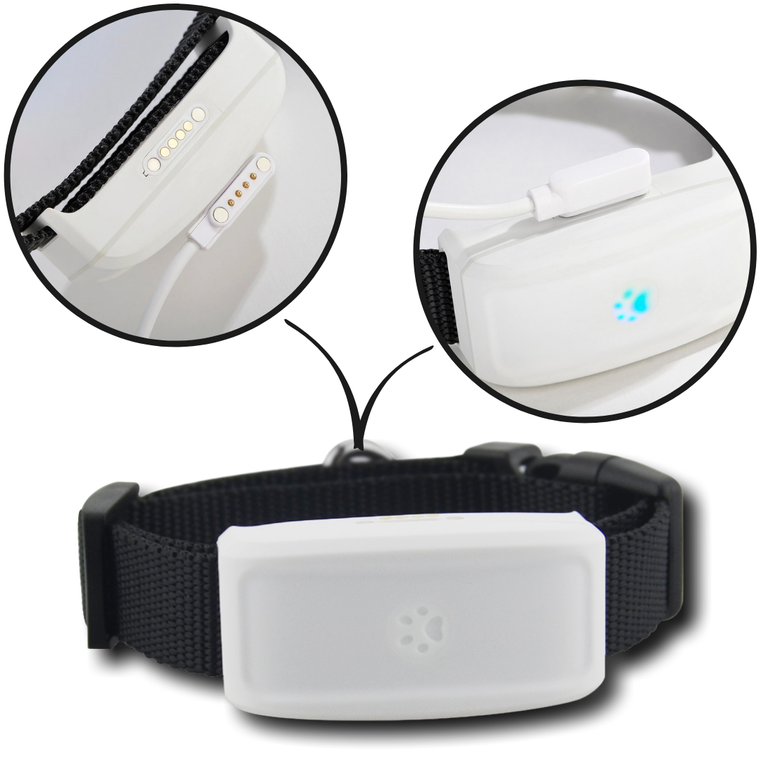 Collier de repérage GPS para animais de estimação da Anysun, com bateria de longa duração, adequado para cães e gatos.