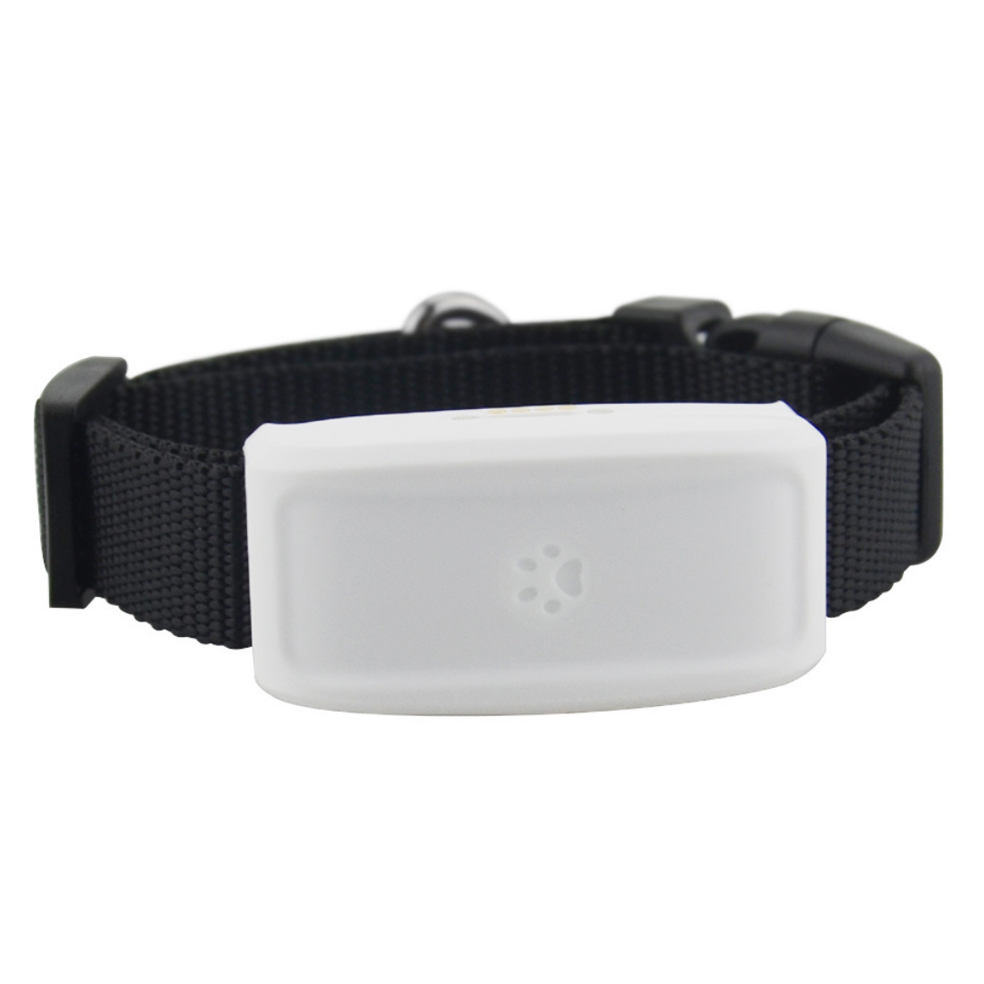 Colar GPS para animais de estimação da Anysun, com dispositivo branco e colarinho preto para cães e gatos.