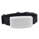 Colar GPS para animais de estimação da Anysun, com dispositivo branco e colarinho preto para cães e gatos.