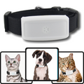 Collier de repérage GPS pour animaux de compagnie de la marque Anysun, avec dispositif de géolocalisation pour chiens et chats.