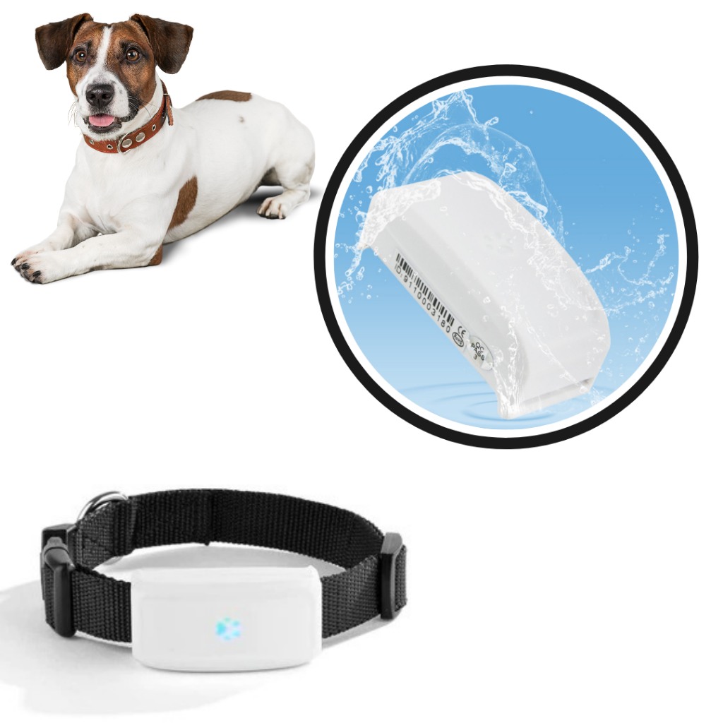 Coleira de GPS para animais de estimação da marca Anysun, durável, impermeável, ideal para cães e gatos.