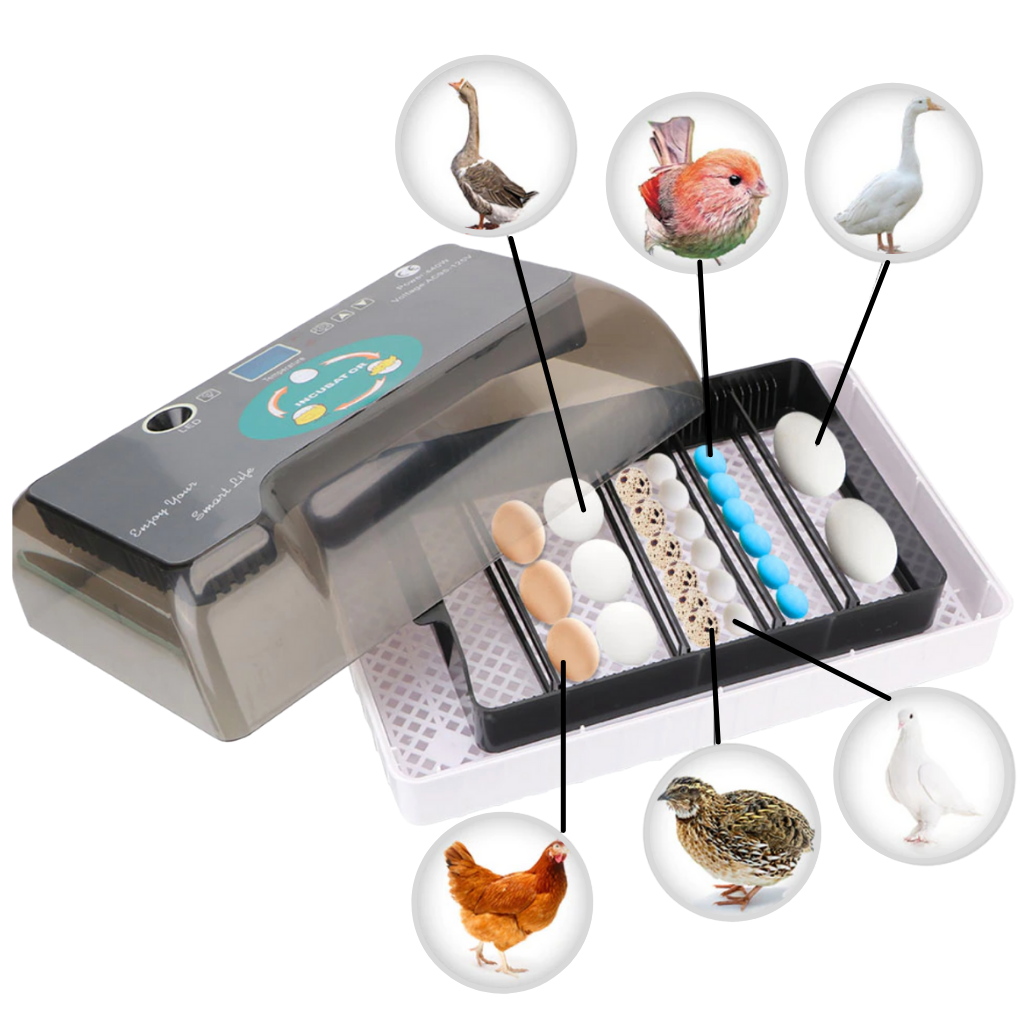 Incubadora automática de ovos Yescomusa para diferentes aves, exibindo painel digital e ovos dentro do aparelho de incubação.