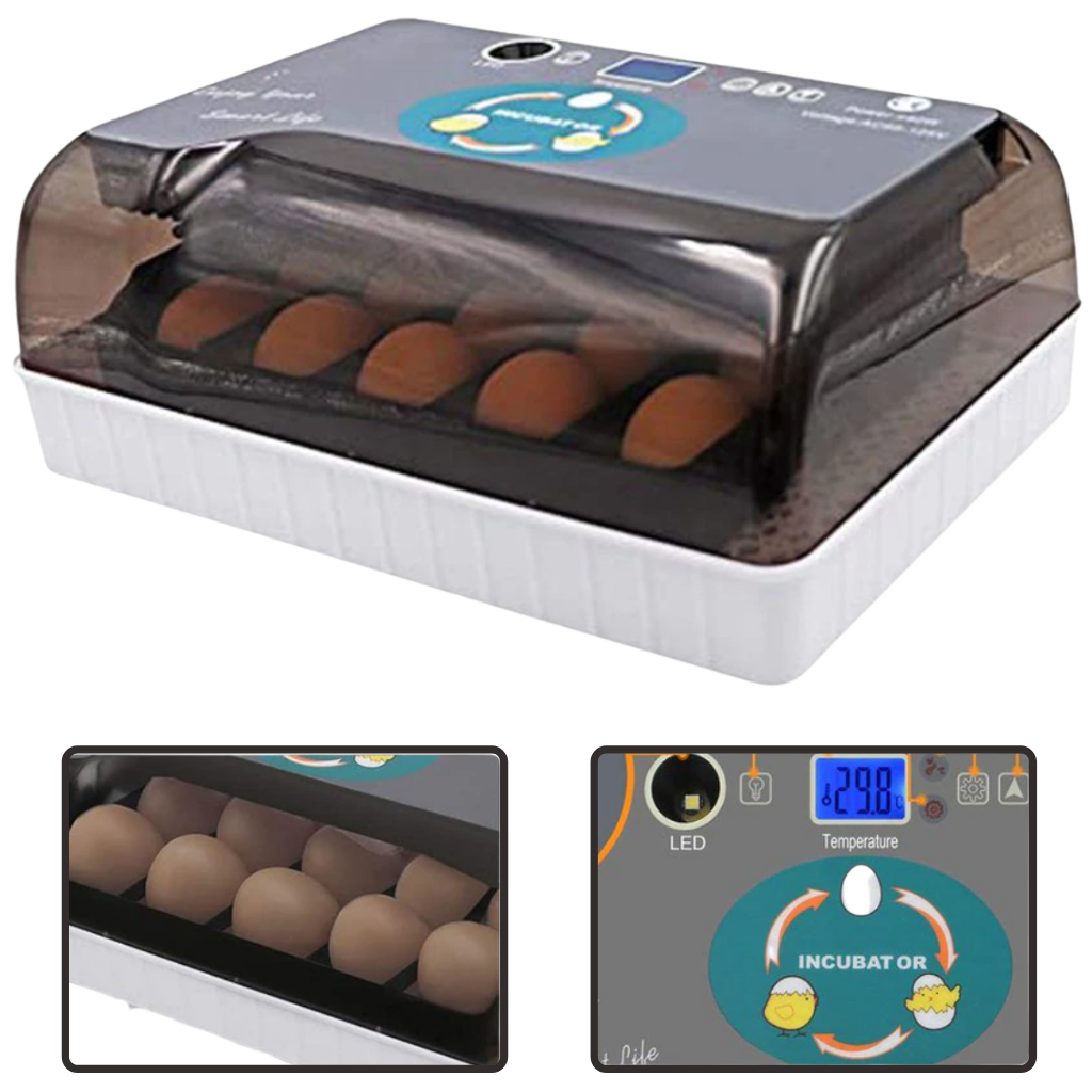 Incubador automático de ovos Yescomusa, digital, fácil de usar, ideal para criação de aves com controle de temperatura e umidade
