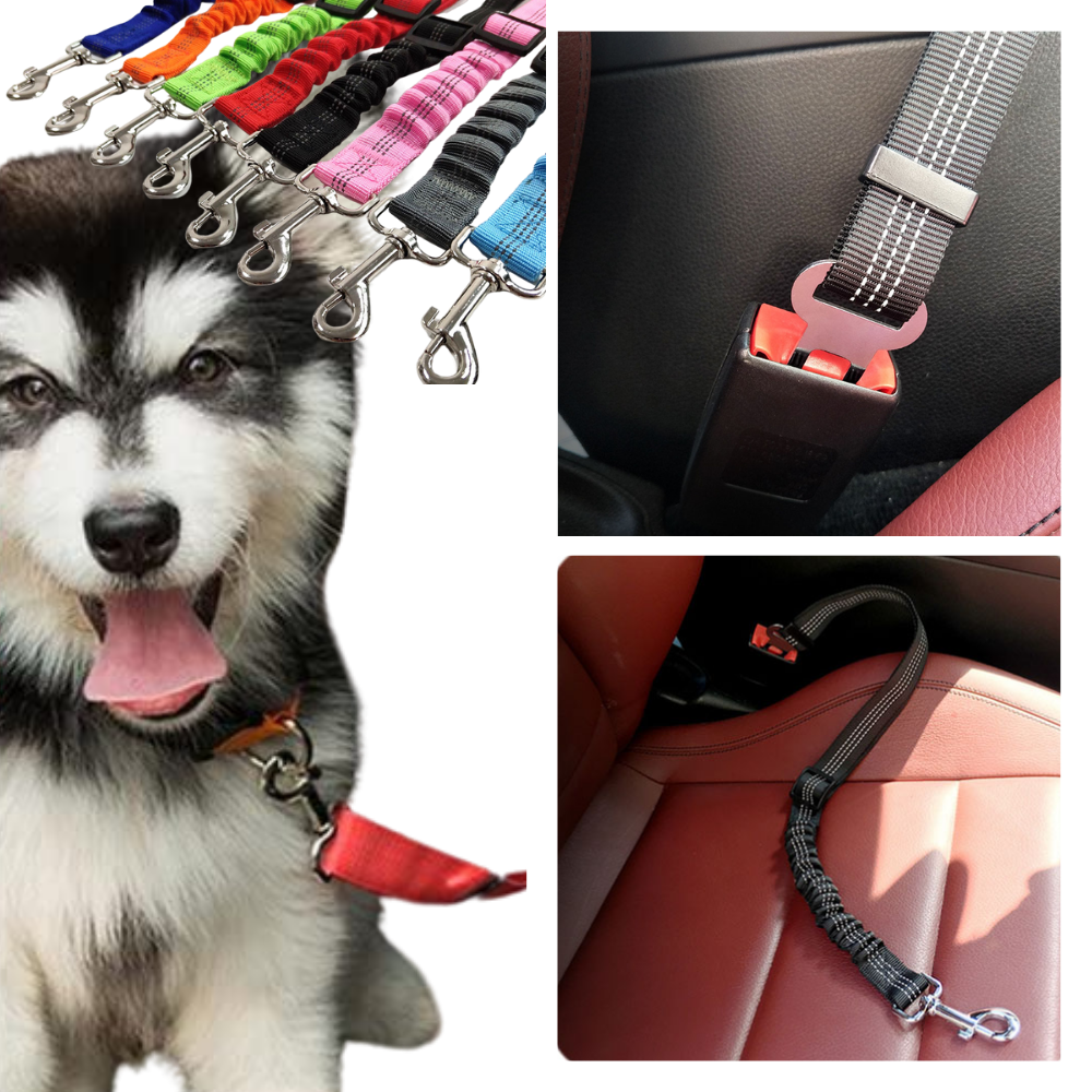 Cinto de segurança ajustável para cães da marca Egmy, acessório para manter o cachorro seguro durante viagens de carro.