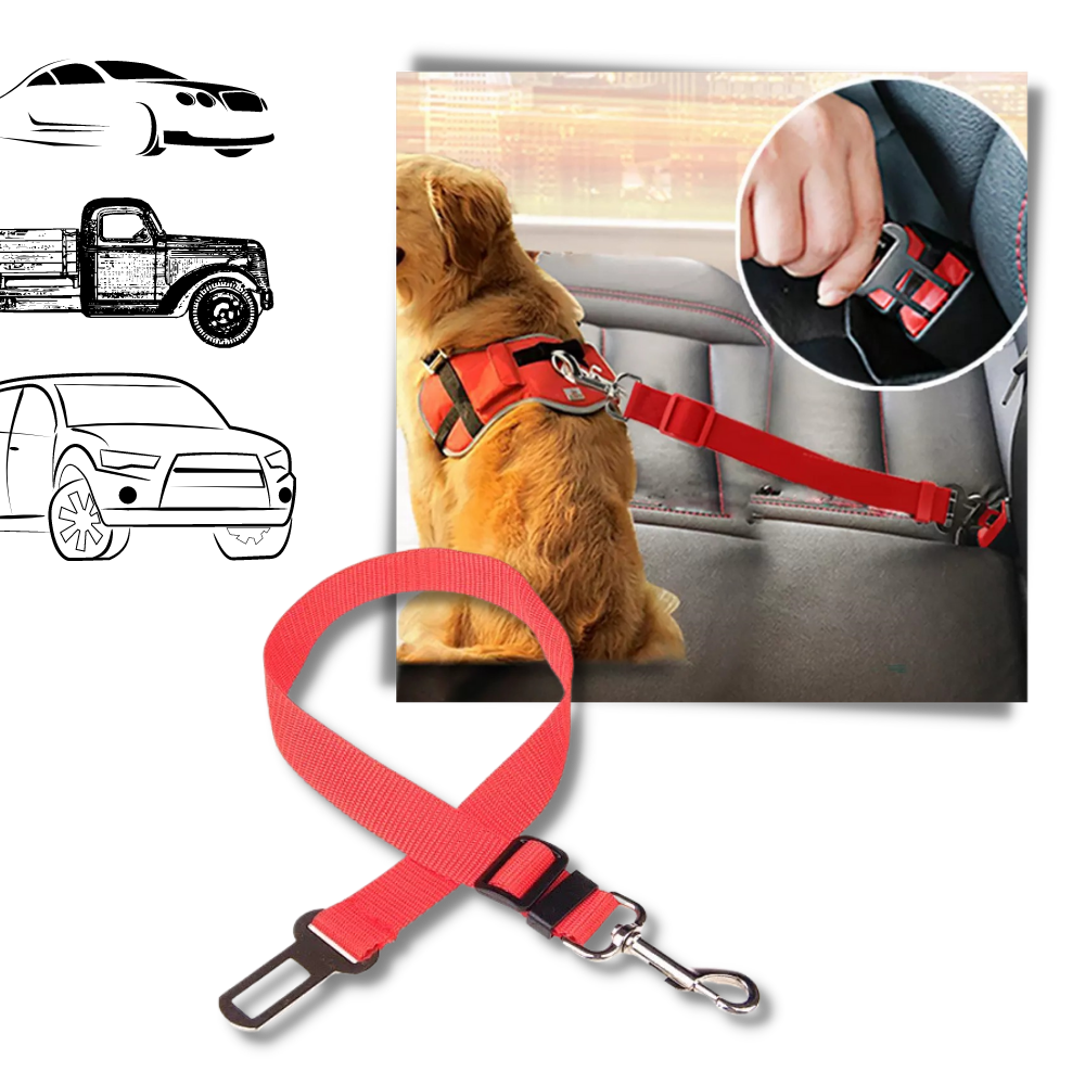 Cinto de segurança ajustável para cães da marca Egmy, acessório para prender cães no carro com ajuste confortável.