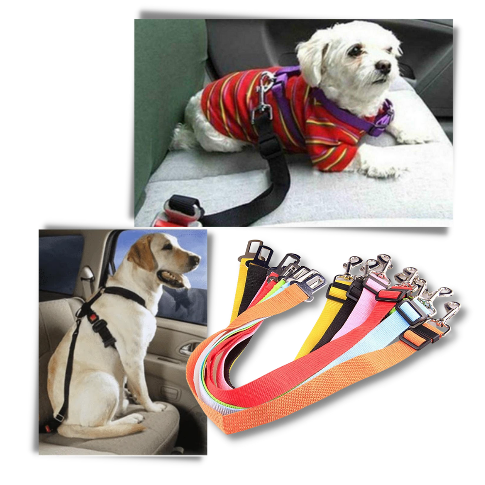 Cinto de segurança ajustável para cães em carro, acessório de segurança para pets da marca Egmy, com fita resistente e confortável.