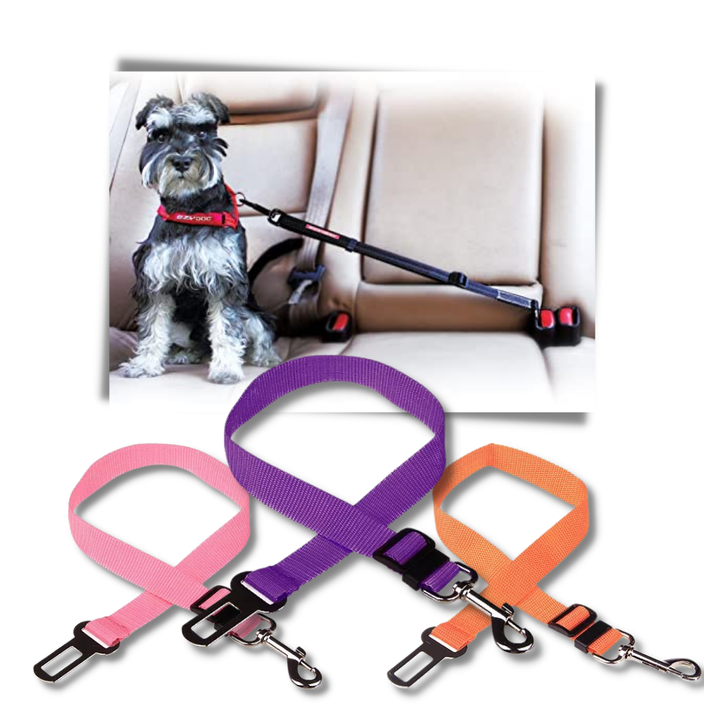 Correia de segurança ajustável para cães em carro, acessório para cães da marca Egmy, ideal para viajar com segurança.